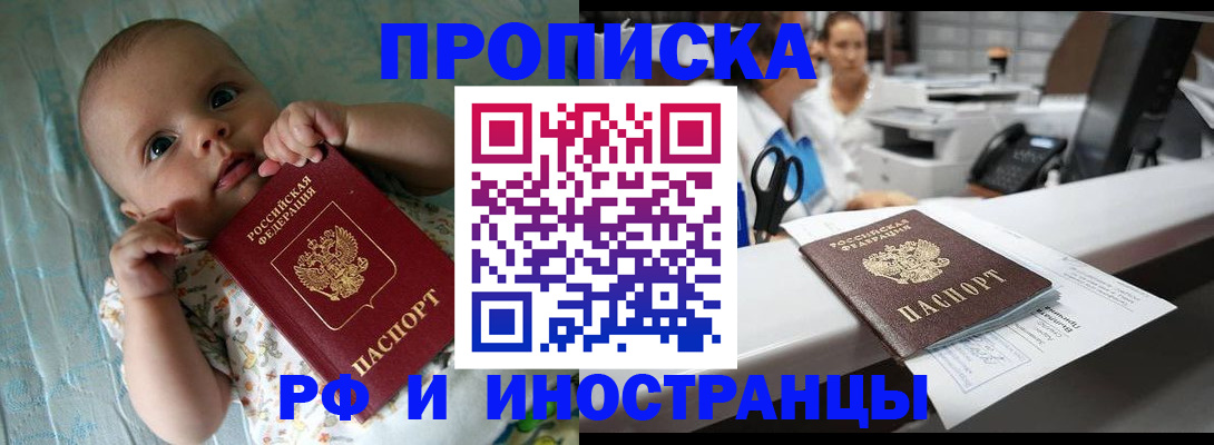 прописка поиск в Светлогорске
