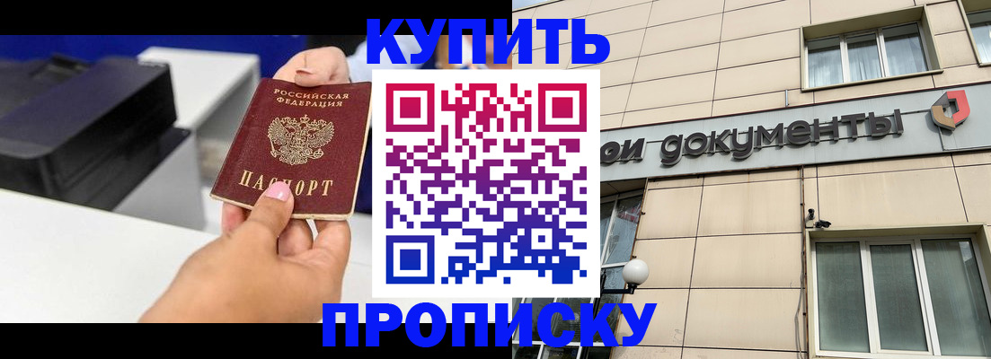 прописка паспорт в Светлогорске